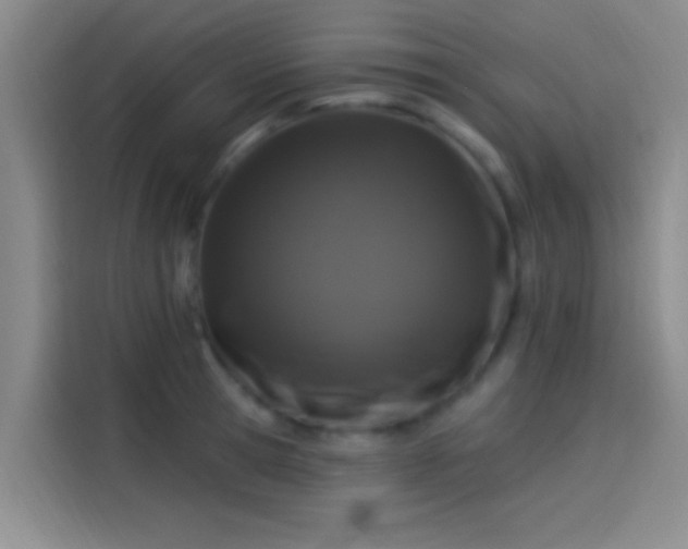 X0000114080945200910131234