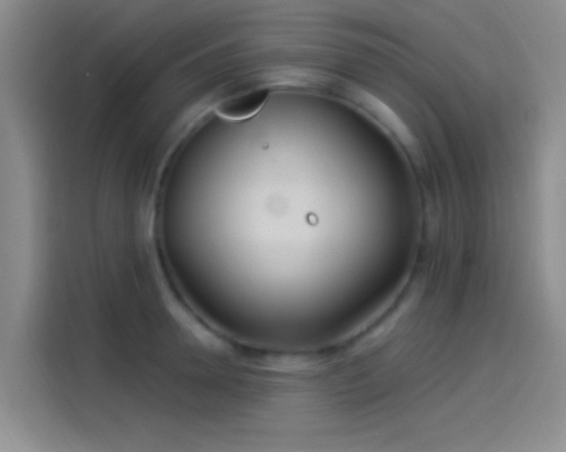 X0000114080946200910131234