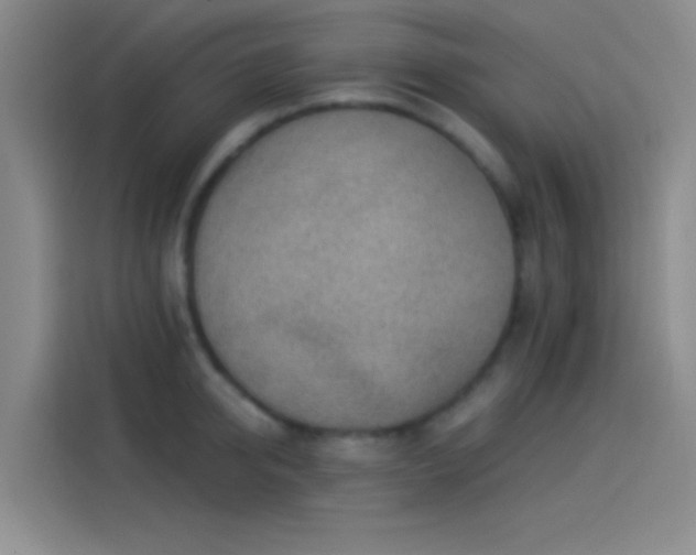 X0000114080950200910131234