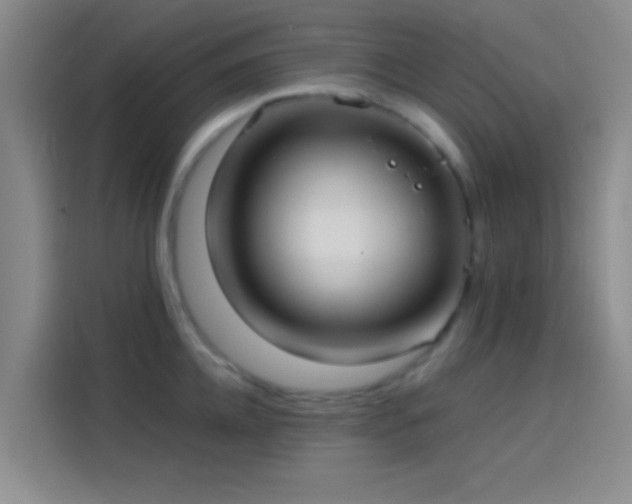 X0000114080952200910131234