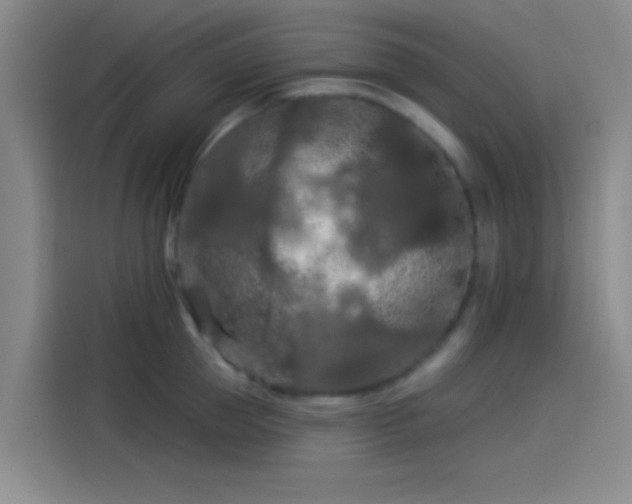 X0000114080953200910131234