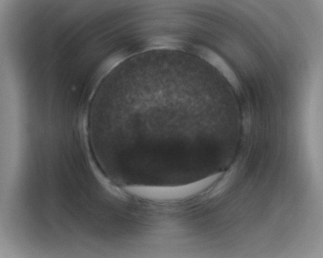 X0000114080954200910131234