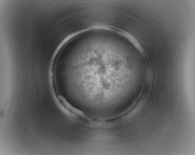 X0000114080955200910131234