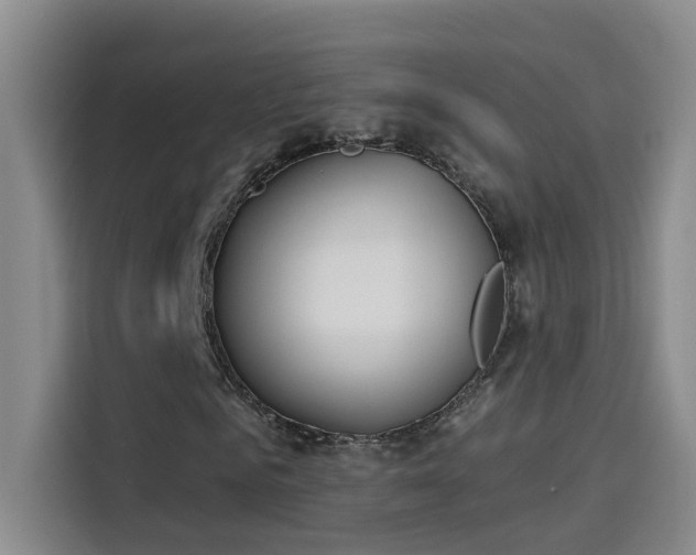 X0000114080961200910131233