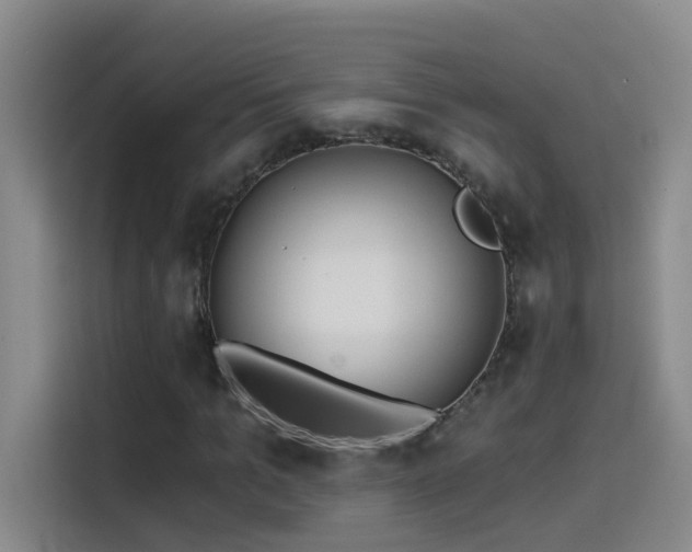 X0000114080965200910131233