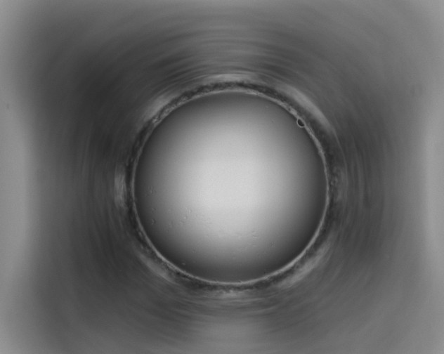 X0000114080969200910131233