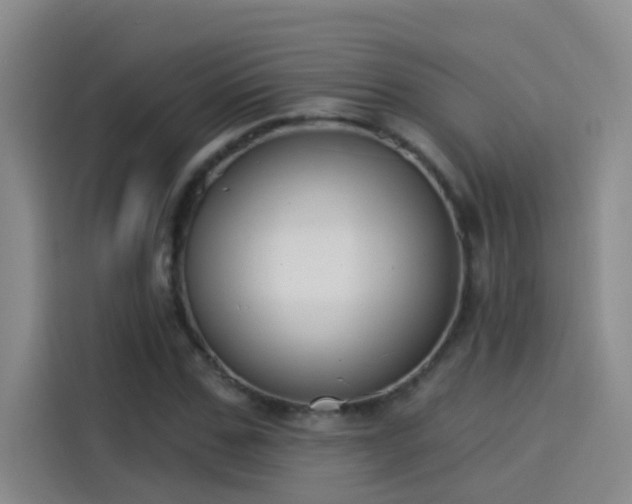 X0000114080971200910131233