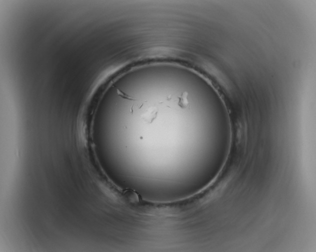 X0000114080973200910131233