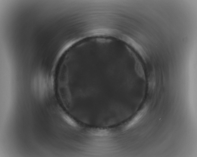 X0000114080975200910131233