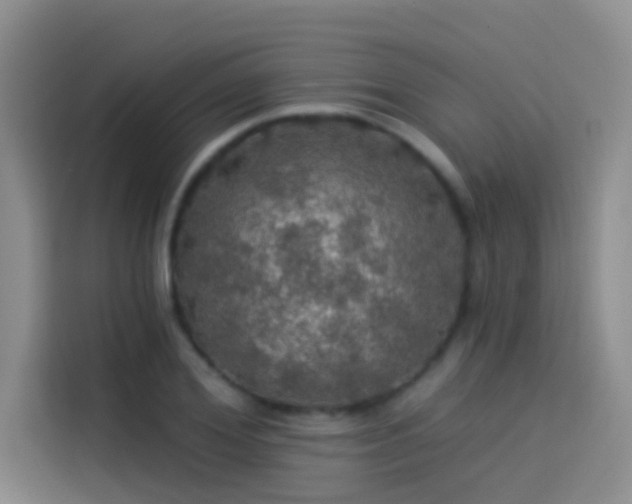 X0000114080980200910131233