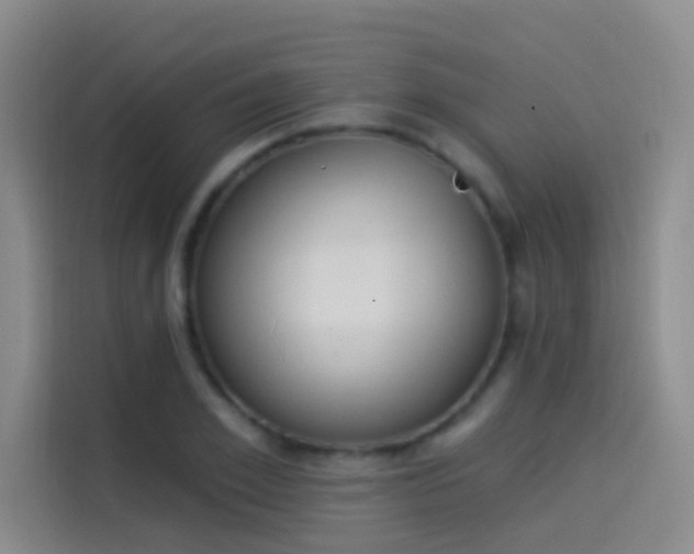 X0000114080981200910131233