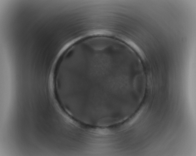 X0000114080983200910131233