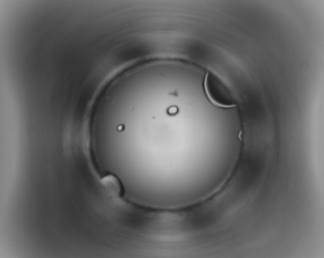 X0000114080984200910131233