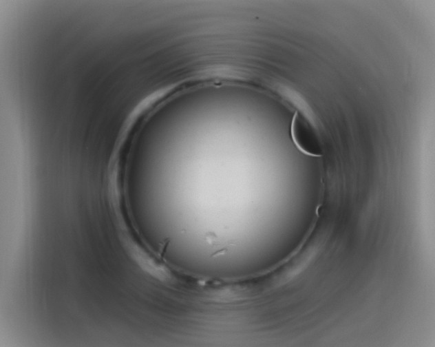 X0000114080987200910131233