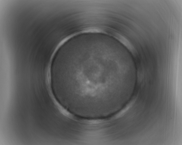 X0000114080988200910131233