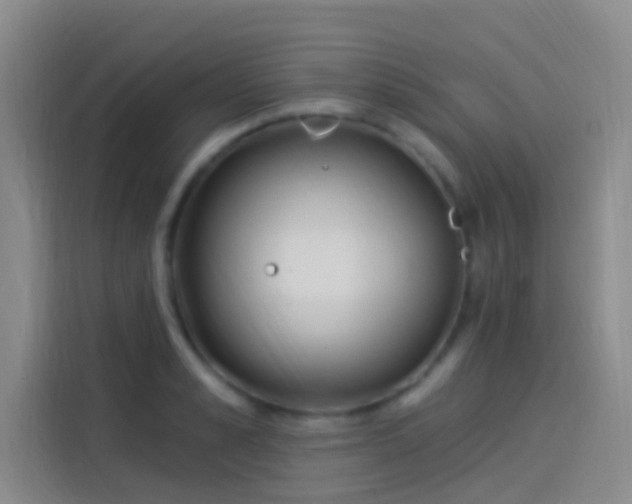 X0000114080989200910131233