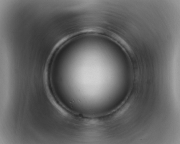 X0000114080991200910131233