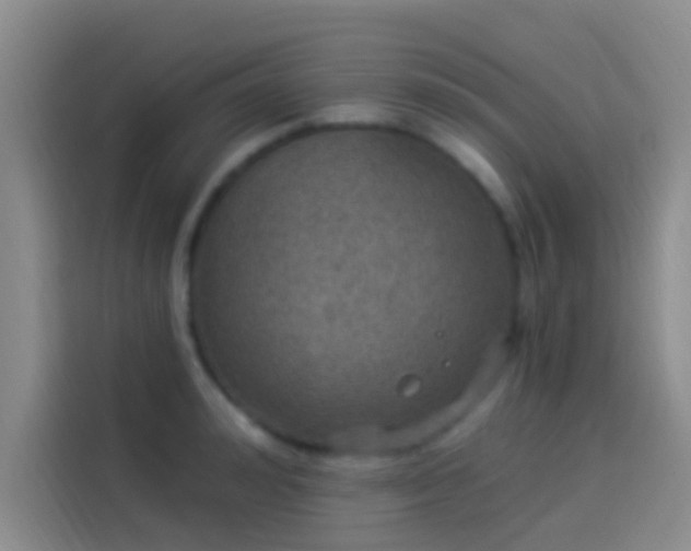 X0000114080992200910131233