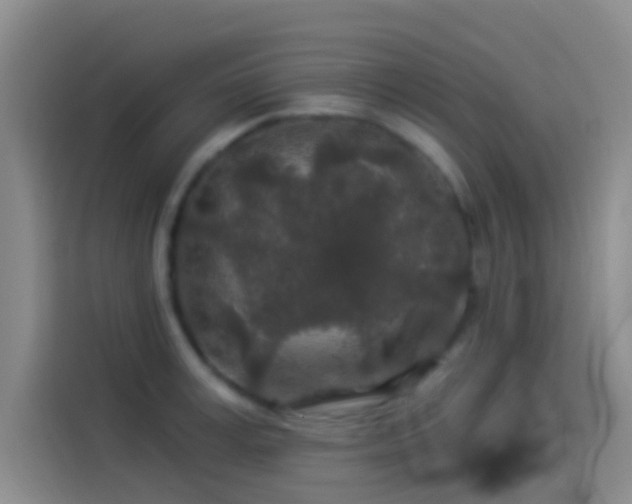 X0000114080995200910131233