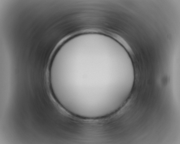 X0000114080996200910131233