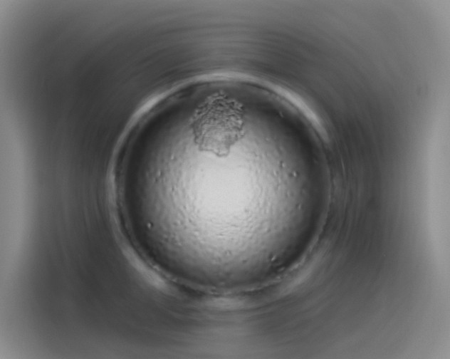 X0000114080998200910131233