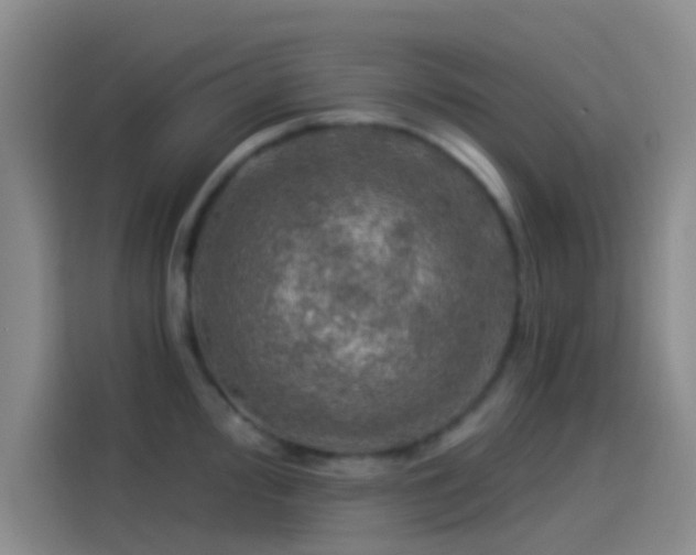 X0000114081000200910131233