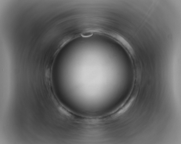 X0000114081001200910131233