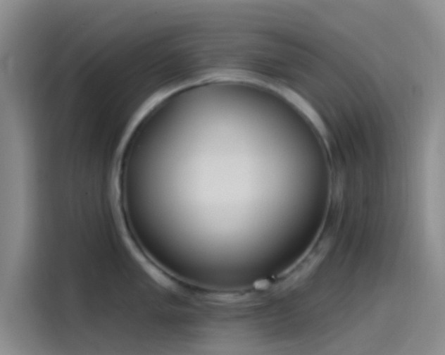 X0000114081005200910131233