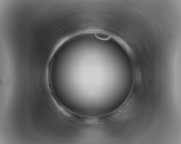 X0000114081006200910131233