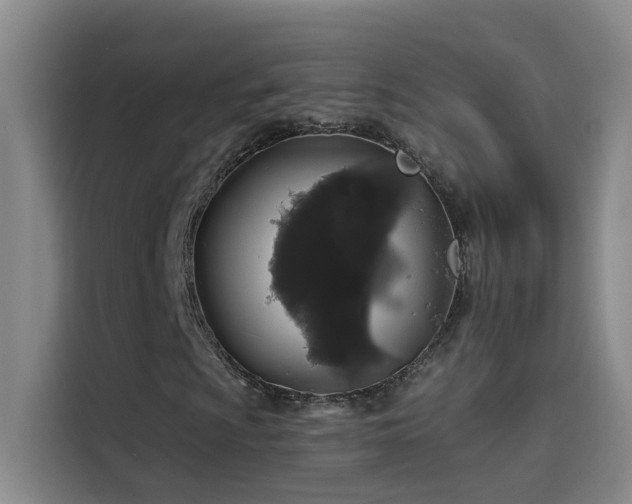 X0000114081009200910131232