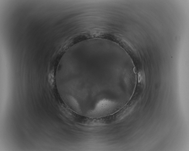 X0000114081011200910131232