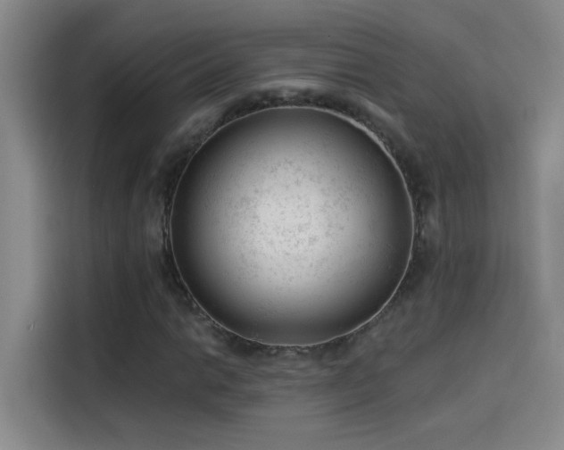 X0000114081014200910131232