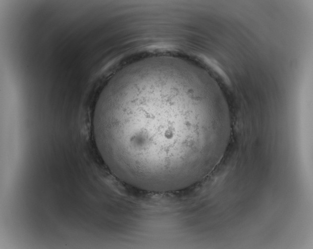 X0000114081015200910131232