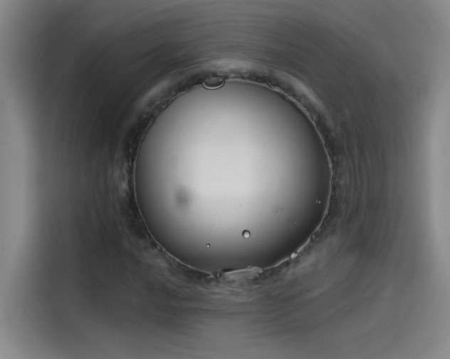 X0000114081016200910131232