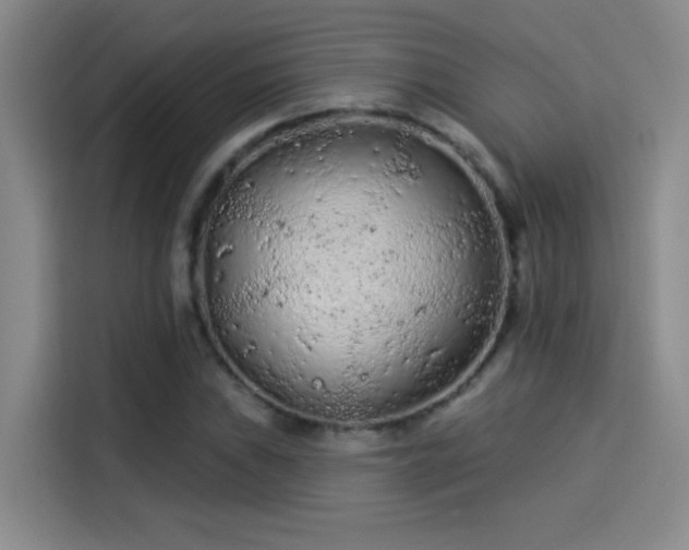 X0000114081019200910131232