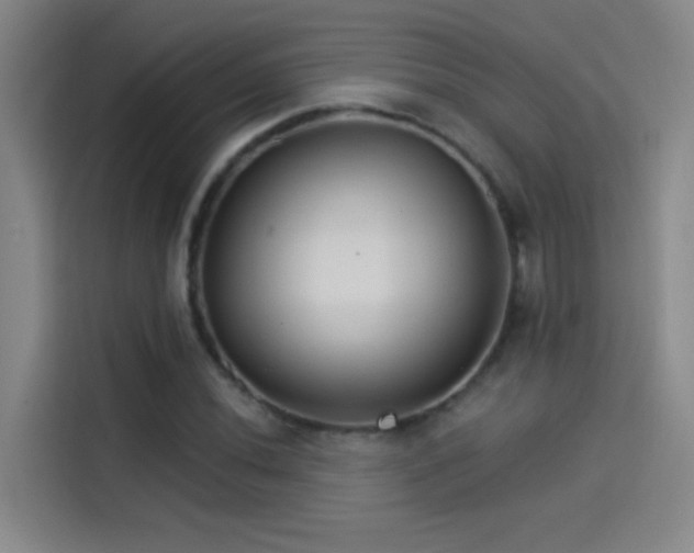 X0000114081020200910131232