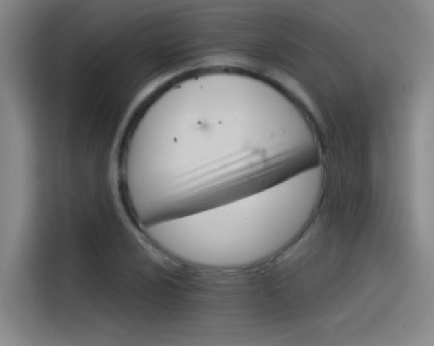 X0000114081024200910131232