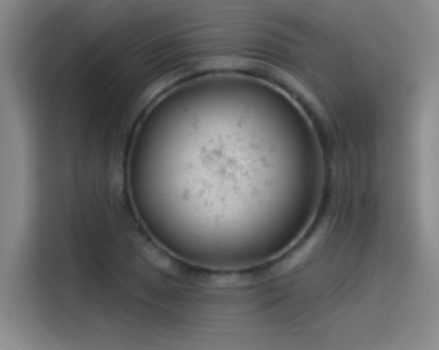 X0000114081025200910131232