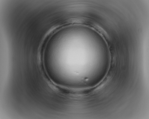 X0000114081027200910131232