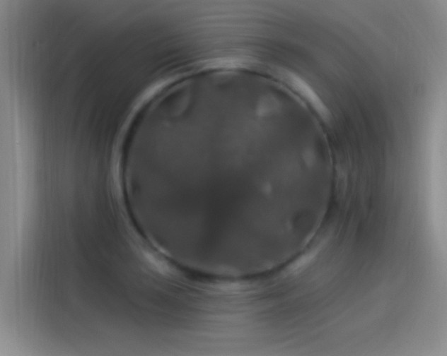 X0000114081035200910131232