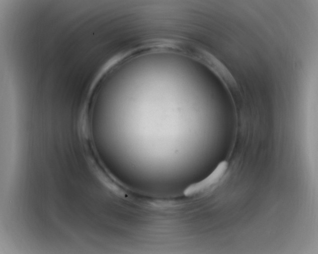 X0000114081036200910131232