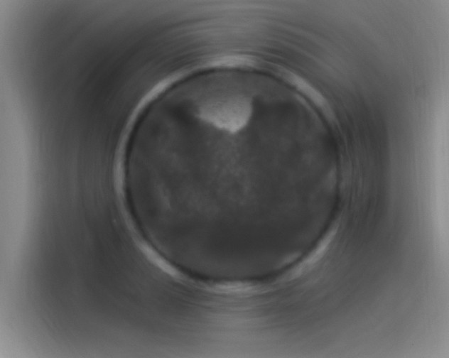 X0000114081037200910131232