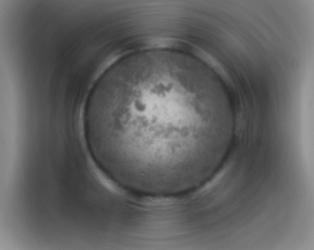 X0000114081039200910131232