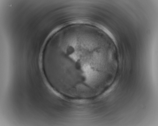 X0000114081045200910131232