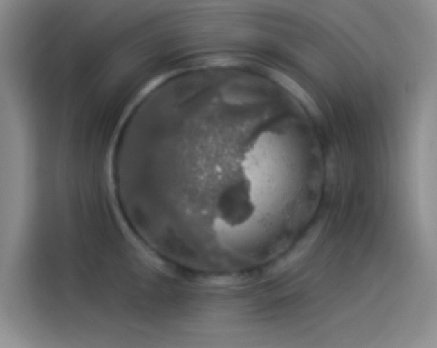 X0000114081047200910131232