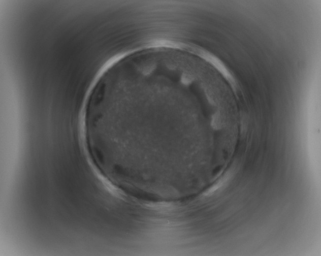 X0000114081048200910131232