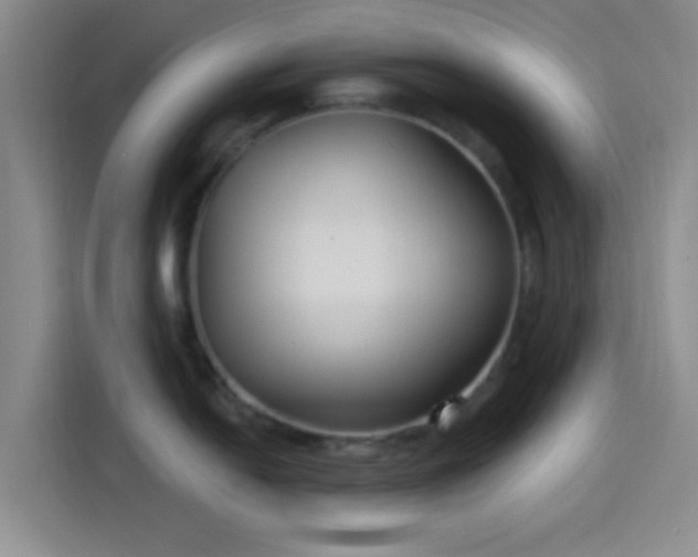 X0000114081054200910131232