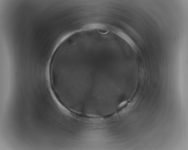 X0000114081055200910131232