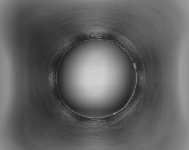 X0000114081060200910131232