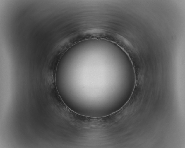 X0000114081062200910131232